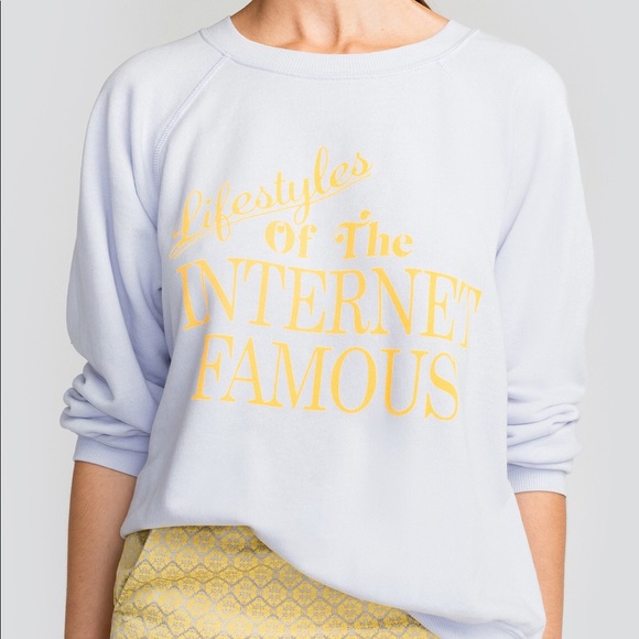 Wildfox Sweaters - Wildfox Internet Famous Sommers Sweater